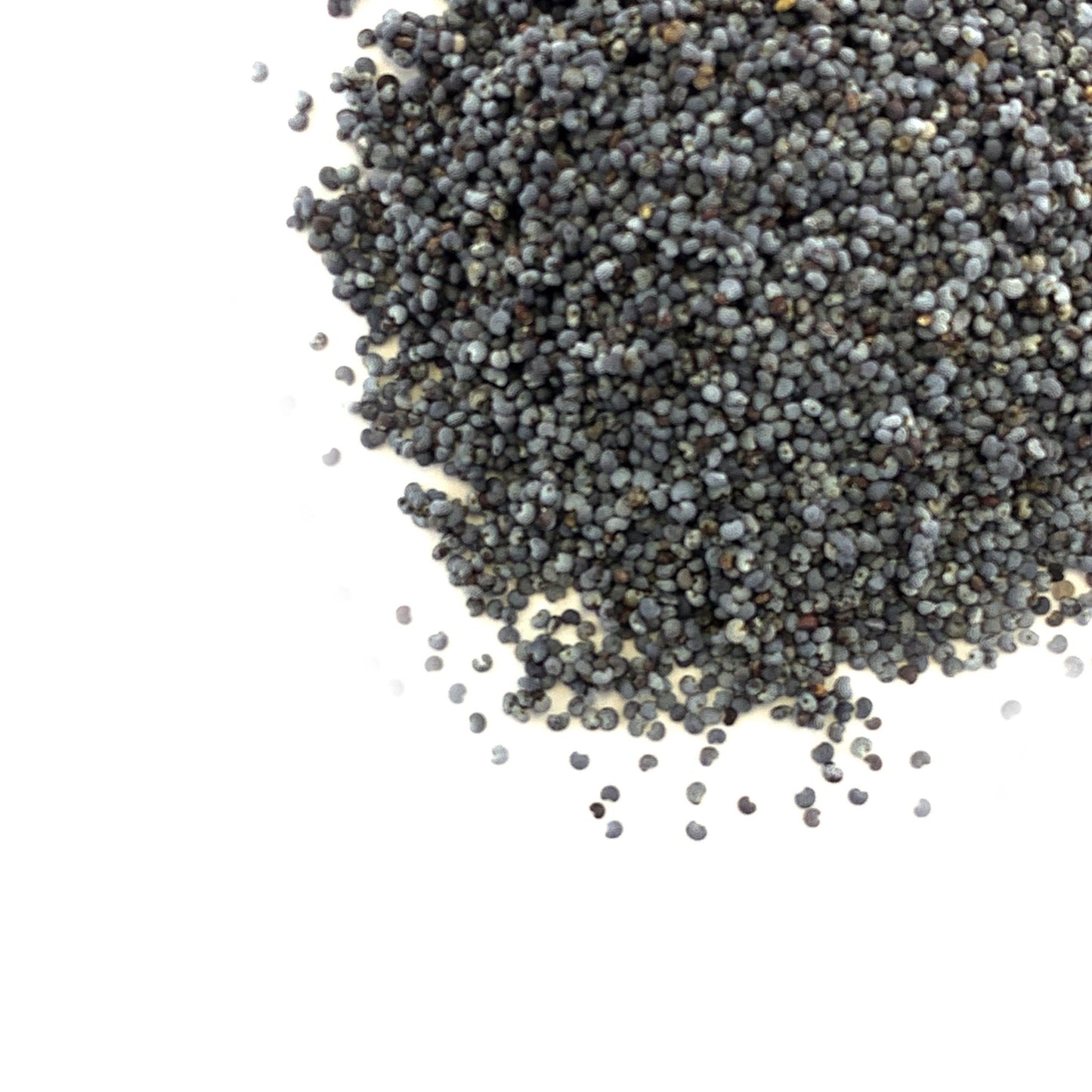 Poppy Seeds - Nutworks Canada