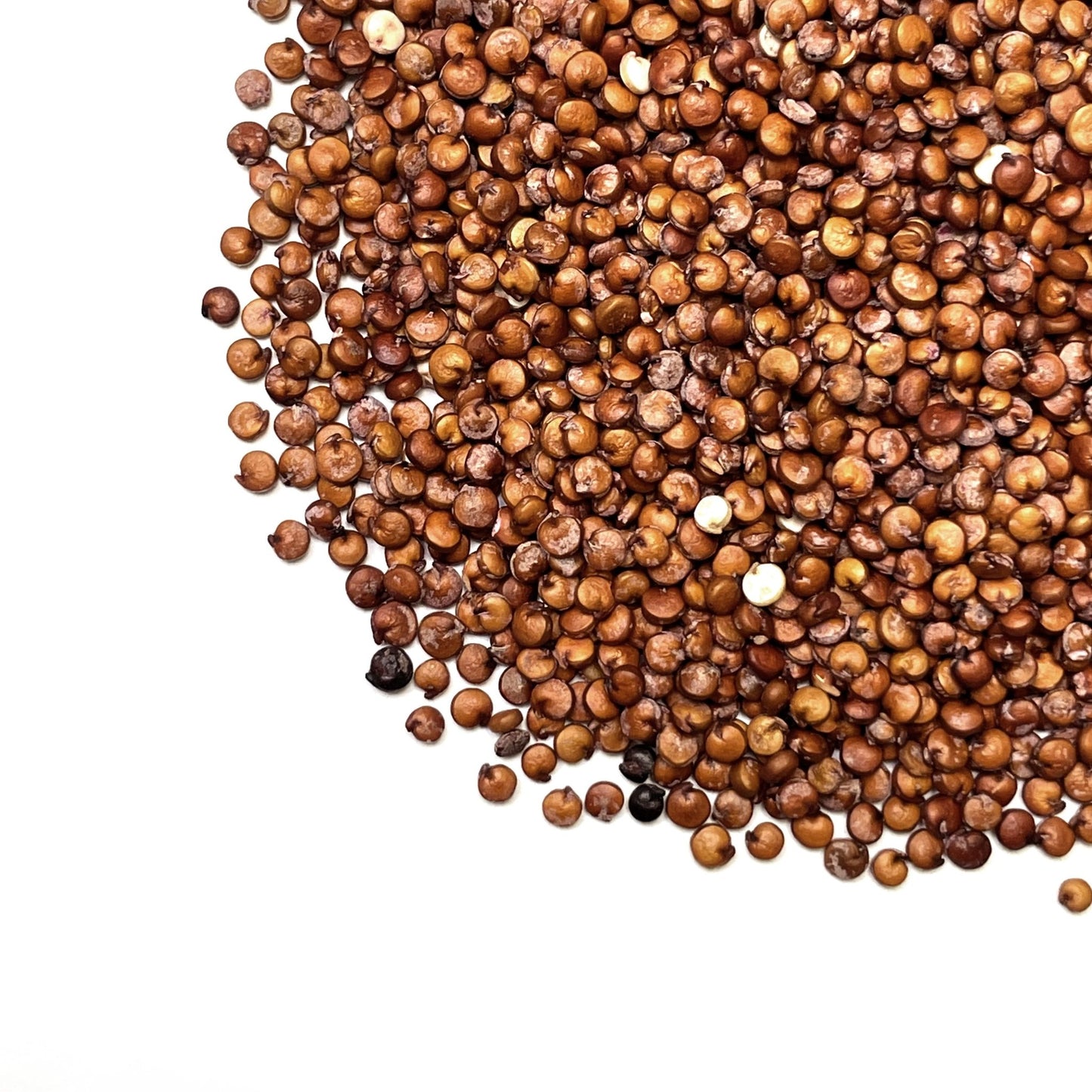 Red Quinoa - Nutworks Canada